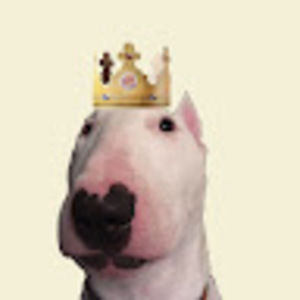 Meet your Posher, Walter